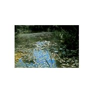 MEMBRANE ÉTANCHE POUR BASSIN DE BAIGNADE ET D'AGRÉMENT BIOTOPES
