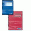 CAHIER - CALLIGRAPHE - 180 PAGES - 17X22 - GRANDS CARREAUX