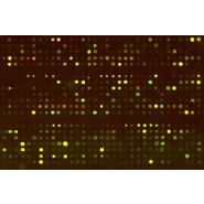 ANALYSE DE LA MéTHYLATION D'ADN
