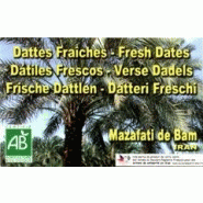 DATTES FRAîCHES - MAZAFATI DE BAM