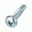 100 VIS À TÔLE TÊTE BOMBÉE AVEC POINTE PERCEUSE 4,8 X 19 MM TOOLCRAFT 100 VIS À TÔLE TÊTE BOMBÉE AVEC POINTE PERCEUSE 4,8 X 19 MM TOOLCRAFT