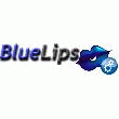 LOGICIEL D'INDICATION DE RISQUES SUR LES PROCESSUS - BLUELIPS