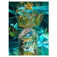 BONBONS - ROSELIER POCHE 300G NET