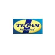 LOGICIEL FIREWALL / PROTECTION DES LOGICIELS DE SéCURITé - TEGAM