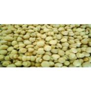 CHAMPIGNONS FRAIS PASTEURISES - MINIATURES