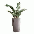 PLANTE ARTIFICIELLE D'INTÉRIEUR ZAMIA + POT -