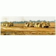 SERVICE INFRASTRUCTURE KOESTER CONTRACTING