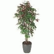 PLANTE ARTIFICIELLE D'INTÉRIEUR CAPENSIA + POT