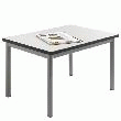 TABLE BASSE KOALA  TABLE BASSE KOALA
PLATEAU 1000 X 500 MM