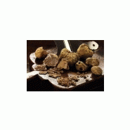 CHAMPIGNONS DES BOIS - TRUFFE D'ALBA