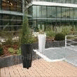 FLOWER POT 100 NON LUMINEUX