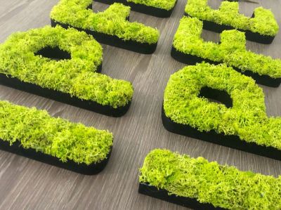 Comment choisir une lettre ou un logo végétal pour un projet professionnel au Havre ?