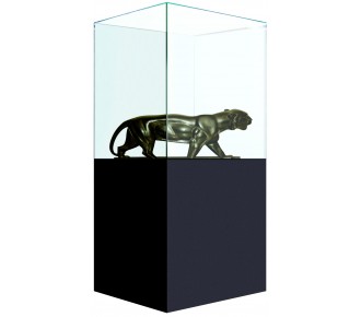 Vitrine cloche