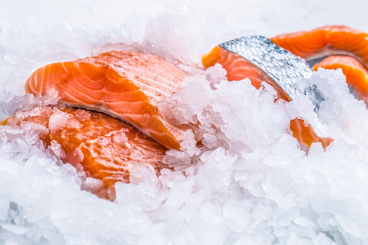 Machine à glace pour poissonnerie