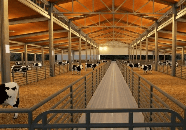 Bâtiment pour vaches allaitantes