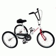 Tricycle pour enfants handicapés