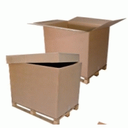 Container en carton