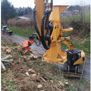 image d'illustration