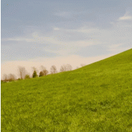 image d'illustration