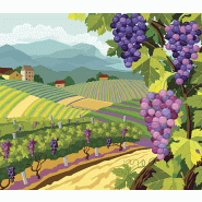 image d'illustration