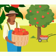 image d'illustration