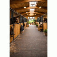 image d'illustration