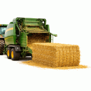 image d'illustration