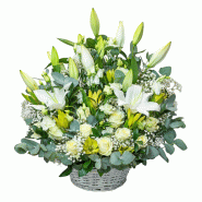 image d'illustration