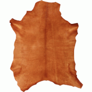 image d'illustration