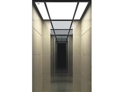 Ascenseur à la maison FujiHD - ascenseur domestique sans salle de machines, capacité de 250 à 400 kg