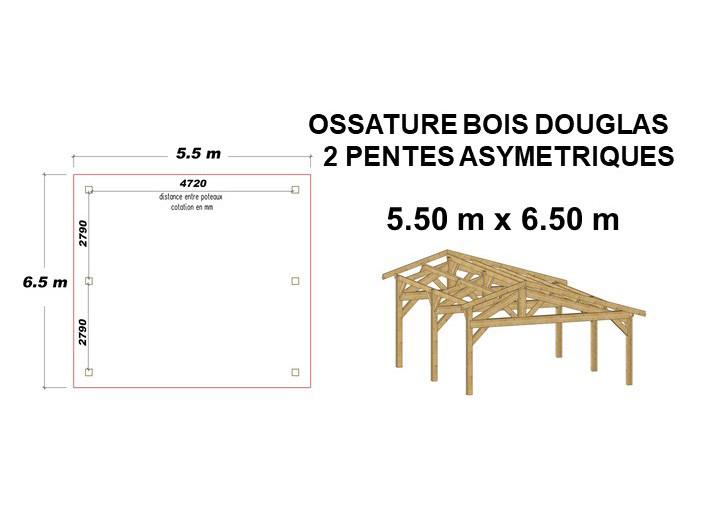 Ossature bois Douglas asymétrique 35.75 m² - Hangar bois en kit 2 pentes