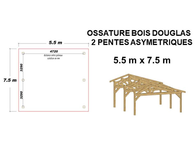 Ossature bois Douglas asymétrique 41.25 m² - Hangar bois en kit 2 pentes