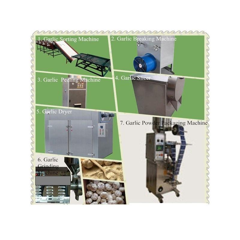 Unité de production de poudre d'ail semi-automatique - calibreuse, concasseur, éplucheur, tronçonneuse, déshydrateur, broyeur et ensacheuse