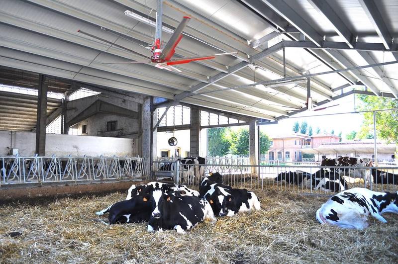 Brasseur d'air A.P.M. - Matériel neuf pour ventilation en élevage