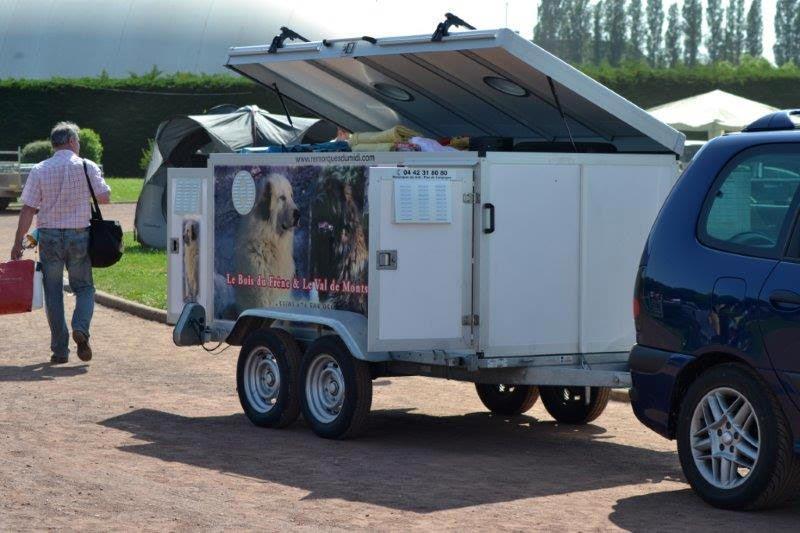 Remorque spéciale pour 4 grands chiens - Modèle sur mesure pour Le Bois du Frêne élevage de chiens Leonberg et Le Val de Montserrat élevage de Chiens de Montagne des Pyrénées