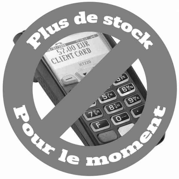 Terminal Paiement Électronique Ingénico ICT220 Filaire - Reconditionné