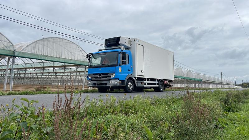 Porteur frigorifique M189 Mercedes Atego 2011 - Bi température diesel - Volume 28 m³ - PTAC 10T500