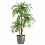 Achat - Vente Arbres - Plantes