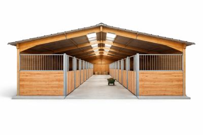 Écurie spacieuse avec chariots et foin