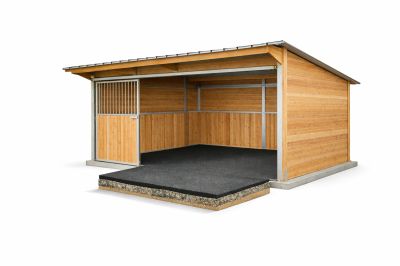 Stall de convalescence pour cheval