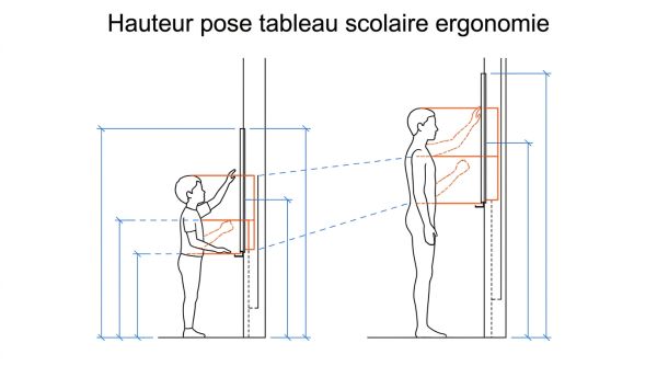 Hauteur pose tableau scolaire ergonomie