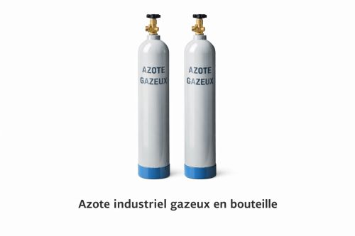 Cylindres de gaz azote industriel