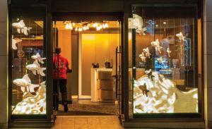 écran vitrine transparent