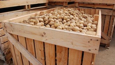 palox en bois agricoles