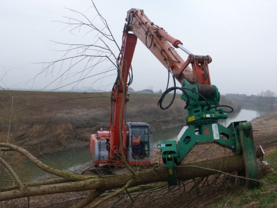 Grappin forestier