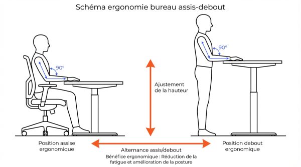 Schéma ergonomie bureau assis-debout