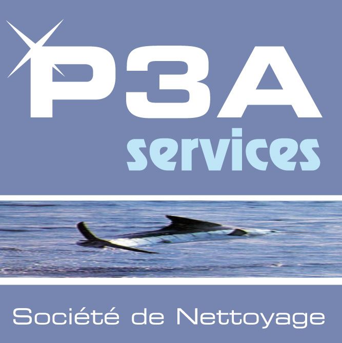 P3A Services