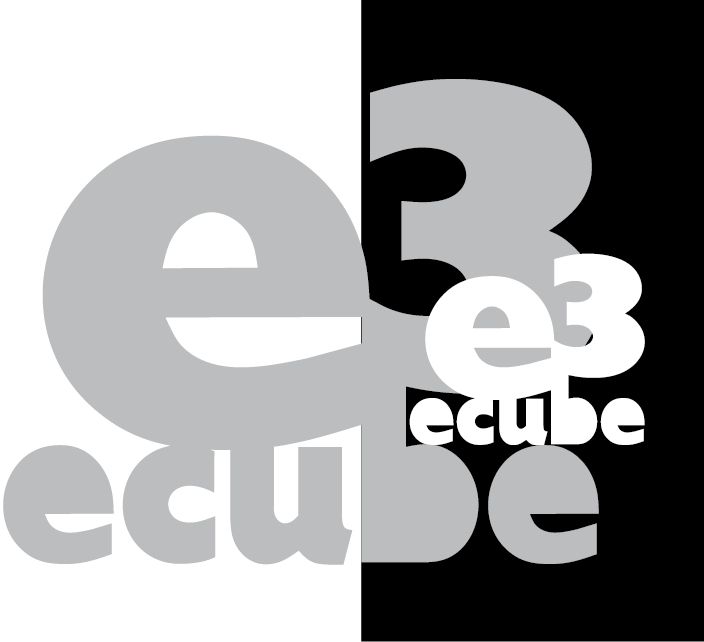 E3 Ecube
