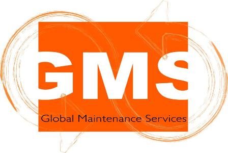 GMS - Si2P