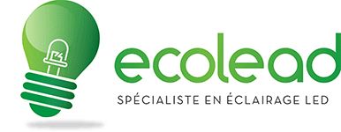 ECOLEAD